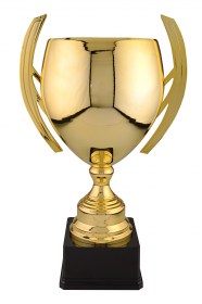 Cupe Sportive LX 016